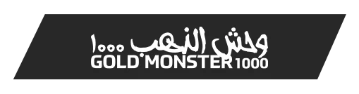 aksaray-minelab-gold-monster-1000